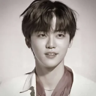 🐴 emoji NCJAEMIN @leviosastory Telegram sticker 10 of 38