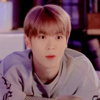 🌷 emoji JGJAEHYUN @leviosastory Telegram sticker 4 of 28