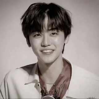 Sticker from NCJAEMIN @leviosastory