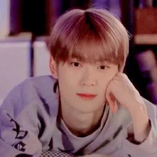🌷 emoji JGJAEHYUN @leviosastory Telegram sticker 6 of 28