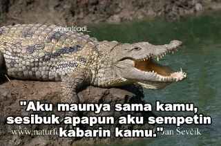 🐊 emoji Peliharaan nya @psychologyeol Telegram sticker 21 of 32
