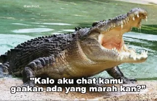 🐊 emoji Peliharaan nya @psychologyeol Telegram sticker 7 of 32