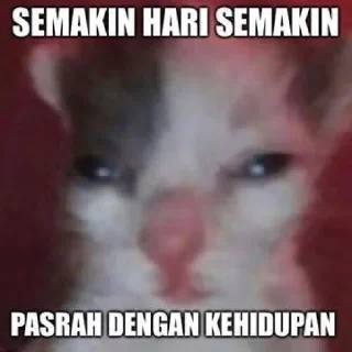 Sticker from lmao amat kang