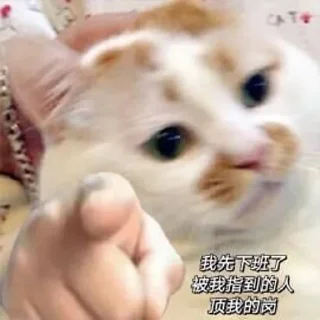 👀 emoji 西瓜的表情包 Telegram sticker 13 of 34