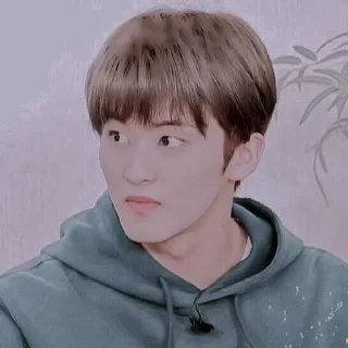 🍉 emoji ᭥ꩌ゚໋🌙ꪾ〬ꩌ۪ ꧑ᥲrk ᥣᥱᥱ  ꒷꒦ @princharming Telegram sticker 11 of 45