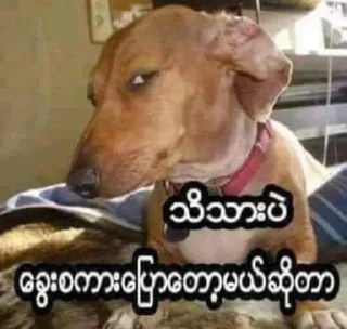 🍆 emoji အချဉ်ပေါင်းစားပေးရတယ်😏 Telegram sticker 5 of 40