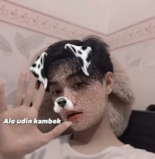 🐶 emoji ceca-yk Vol.1 Telegram sticker 17 of 45