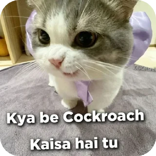 🐱 emoji Ap'🎀's sticker pack (@Mikasa_Ackr_bot) Telegram sticker 6 of 79