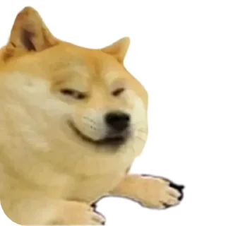 🐶 emoji Max's sticker kang pack Telegram sticker 2 of 44