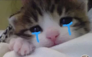 ☹️ emoji punya mayie | @yeowsang Telegram sticker 16 of 120