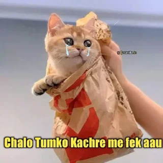 Sticker from Meow