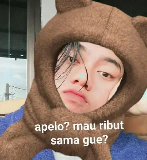 Sticker from PARA BOTI BERUANG