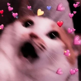 💗 emoji — , ` 💗 rᥲᥒd᥆꧑ ꧑ᥱ꧑ᥱ • @aewiinter • Telegram sticker 8 of 37