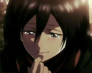 Sticker from mikasa