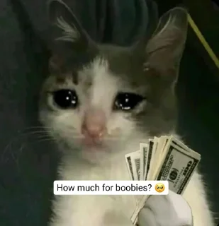 🙂 emoji Hat bsdk Telegram sticker 20 of 108