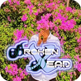🌸 emoji 𝐁𝐑𝐎𝐊𝐄𝐍 @ALONE_DPZ_EDITZ @ALONEBOYSL Telegram sticker 14 of 63