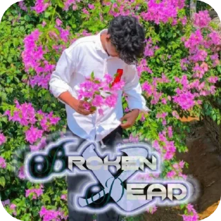 🌸 emoji 𝐁𝐑𝐎𝐊𝐄𝐍 @ALONE_DPZ_EDITZ @ALONEBOYSL Telegram sticker 7 of 63