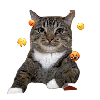 🐱 emoji Stiker imop icil pack by @QuotLyBot Telegram sticker 10 of 17