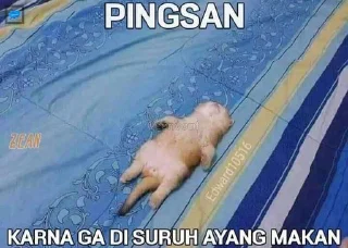 😔 emoji ayang Telegram sticker 13 of 35