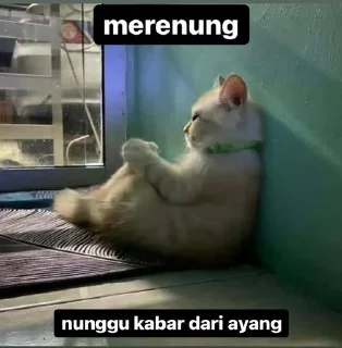 😔 emoji ayang Telegram sticker 9 of 35