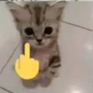 🖕 emoji Ayang Telegram sticker 16 of 76