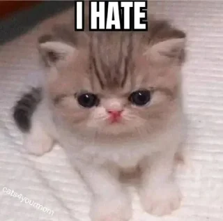 😠 emoji Ayang Telegram sticker 18 of 76