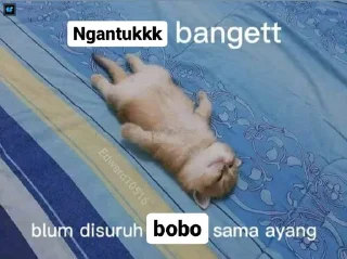 😔 emoji ayang Telegram sticker 22 of 35
