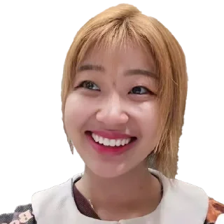🙃 emoji 马士奇肏谭杉杉谭德安刘丽 Telegram sticker 10 of 69