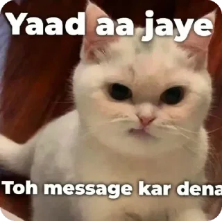 Sticker from gajju says