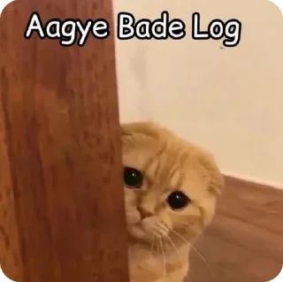 Sticker from gajju says