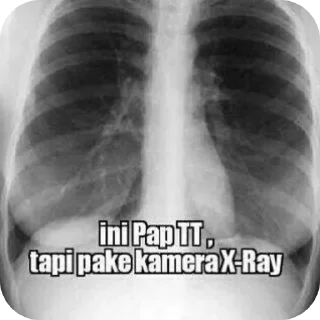 🖼 emoji Damn Telegram sticker 19 of 92