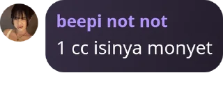Sticker from beepi not not