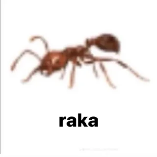 🐜 emoji asha Telegram sticker 5 of 17