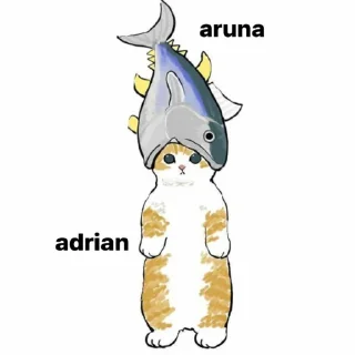 👾 emoji asha Telegram sticker 14 of 17