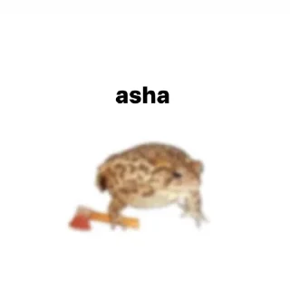 🐸 emoji asha Telegram sticker 1 of 17