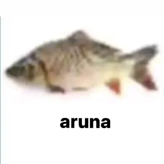 🐟 emoji asha Telegram sticker 2 of 17