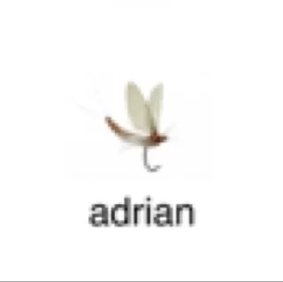 🦘 emoji asha Telegram sticker 6 of 17