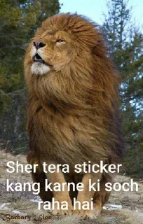 Sticker from अनूप✨'s sticker pack (@ShadowXProBot)