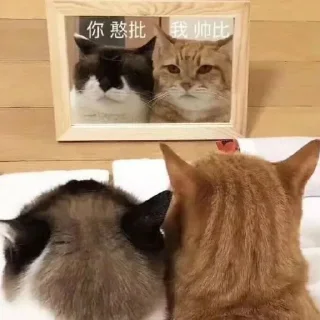 🤣 emoji 暴躁凯上线 Telegram sticker 9 of 53