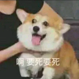 😱 emoji 暴躁凯上线 Telegram sticker 13 of 53