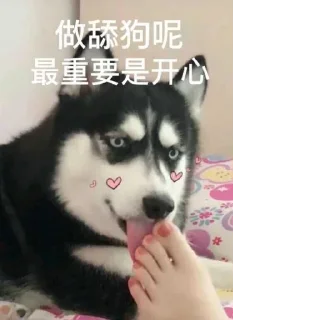 🧐 emoji 暴躁凯上线 Telegram sticker 8 of 53