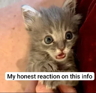 🤔 emoji @WhiskeyPEAKK vid  by @Mikasa_Ackr_bot Telegram sticker 22 of 57