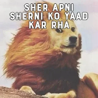 🙂 emoji Gojo Yadav Pack 1 Telegram sticker 19 of 47