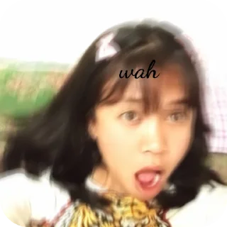 Sticker from anin