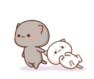 Kitten @AboutAdmJ sticker 4