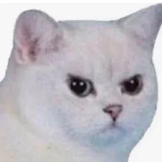😠 emoji @MAIHUIRONMAN's TeleBot Vol.1 Telegram sticker 20 of 120