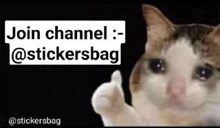 Sticker from Cat meme    @stickersbag