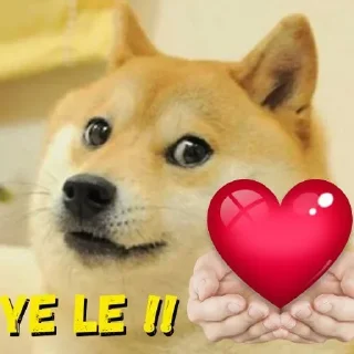 Sticker from Doggy don