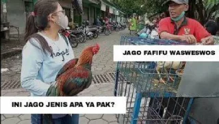 🐓 emoji meme not meme* Telegram sticker 10 of 84