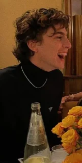 Sticker from KS timmy chalamet 🙂♥️